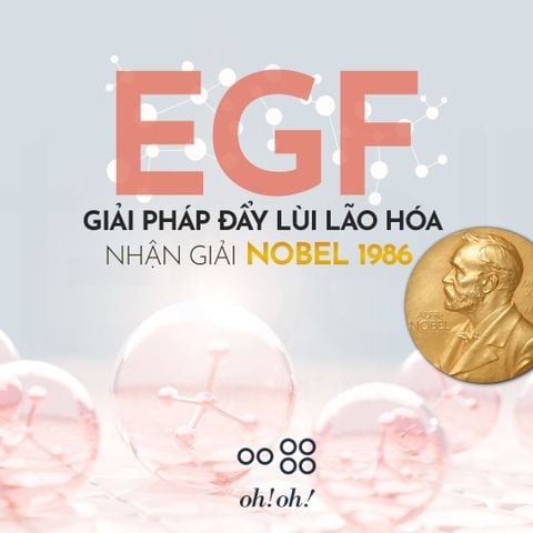 EGF - Yếu Tố Tăng Trưởng Biểu Bì Đẩy Lùi Dấu Hiệu Lão Hóa Nhận Giải Nobel 1986
