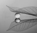 Tinh Chất Dưỡng Sáng Da, Giảm Thâm Nám oh!oh! Skin Health Serum (with 20% Niacinamide & 2% Acetyl Glucosamine)