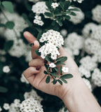 Nước Cân Bằng 2% BHA Tẩy Tế Bào Chết, Làm Sạch Sâu Da - oh!oh! BHA 2% toner : b (75ml)